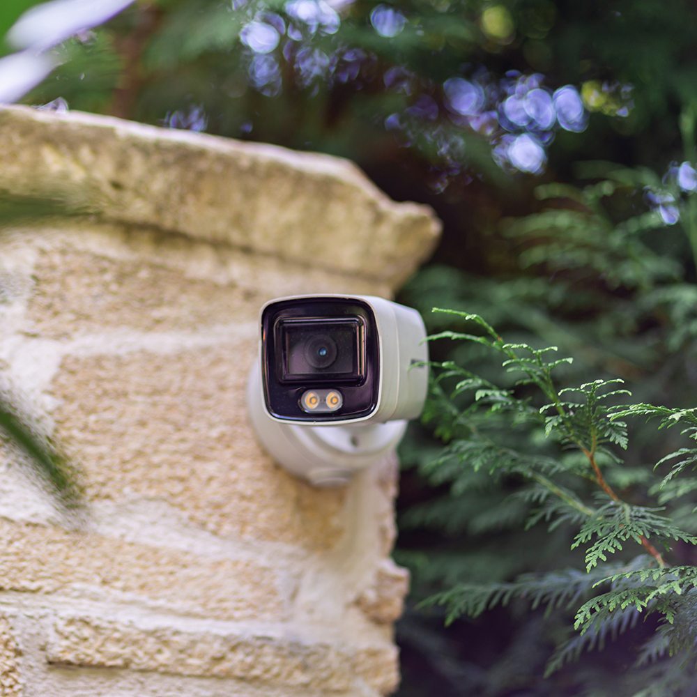 cctv security camera mounted garden
