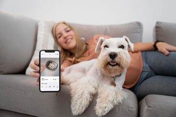 CJW Locksmiths Pet Friendly Security1 Solutions